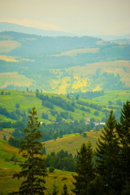 dağlarda yaz. Karpat, Ukrayna, Europe.