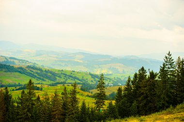 dağlarda yaz. Karpat, Ukrayna, Europe.
