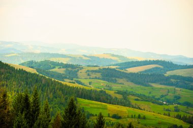 dağlarda yaz. Karpat, Ukrayna, Europe.