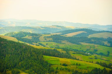dağlarda yaz. Karpat, Ukrayna, Europe.