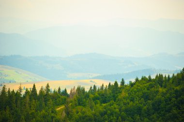 dağlarda yaz. Karpat, Ukrayna, Europe.