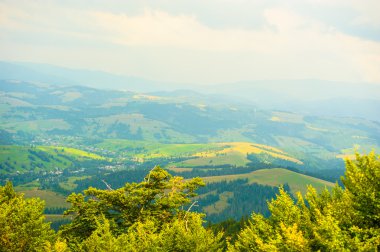 dağlarda yaz. Karpat, Ukrayna, Europe.