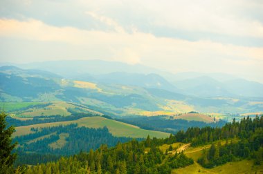 dağlarda yaz. Karpat, Ukrayna, Europe.