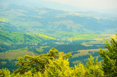 dağlarda yaz. Karpat, Ukrayna, Europe.