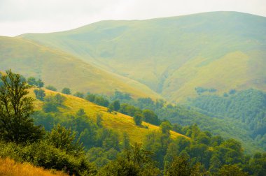 dağlarda yaz. Karpat, Ukrayna, Europe.