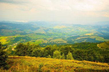 dağlarda yaz. Karpat, Ukrayna, Europe.