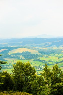 dağlarda yaz. Karpat, Ukrayna, Europe.