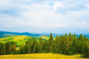 Dağlarda yaz