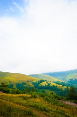 dağlarda yaz. Karpat, Ukrayna, Europe.