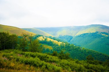 dağlarda yaz. Karpat, Ukrayna, Europe.