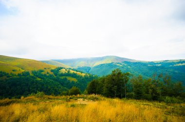 dağlarda yaz. Karpat, Ukrayna, Europe.