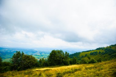 dağlarda yaz. Karpat, Ukrayna, Europe.