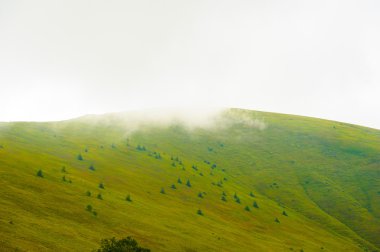 dağlarda yaz. Karpat, Ukrayna, Europe.
