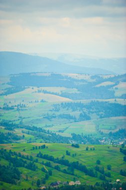 dağlarda yaz. Karpat, Ukrayna, Europe.