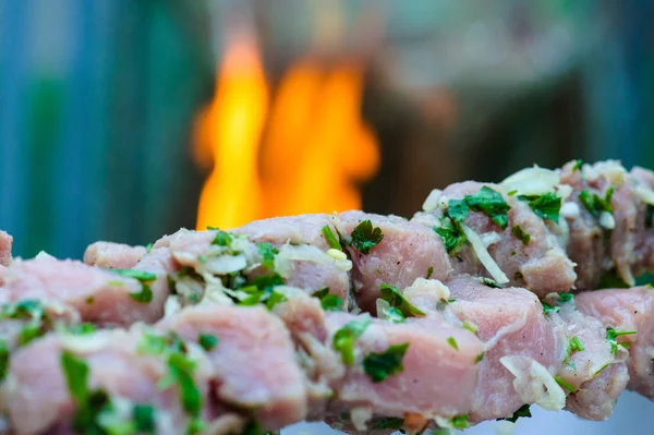 Saftige Scheiben Fleisch — Stockfoto