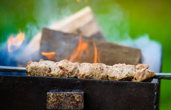 Fatias suculentas de carne — Fotografia de Stock