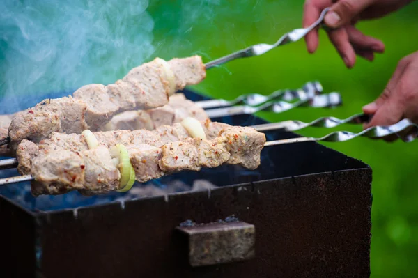 Fatias suculentas de carne — Fotografia de Stock