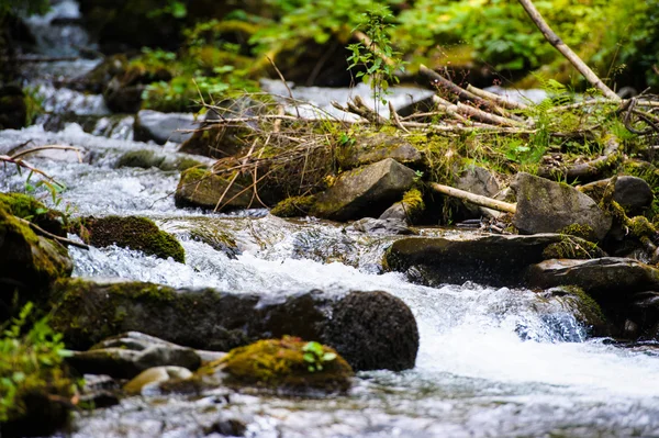 Vacker utsikt över fjällälven — Stockfoto