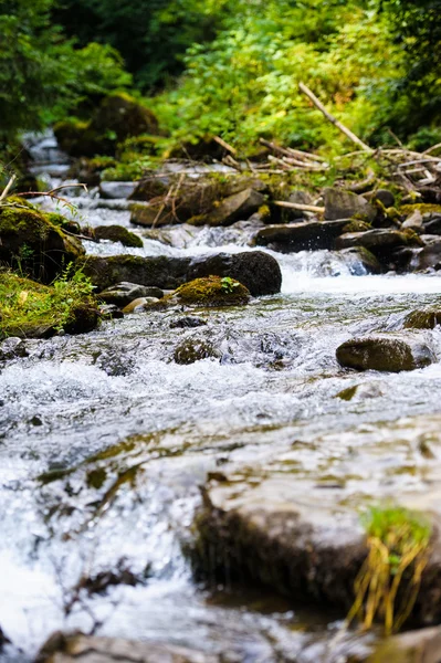 Beautiful view of mountain river — Stock Photo, Image