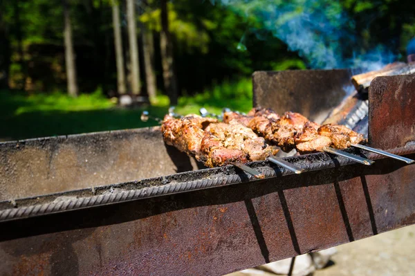 Fatias suculentas de carne — Fotografia de Stock