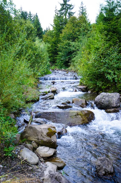 Mountain river in summer — Stock Photo, Image