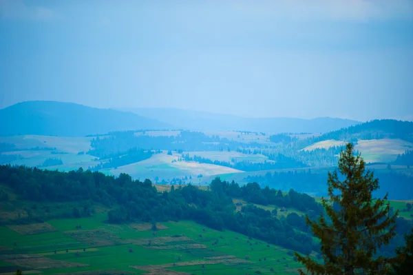 Summer in the mountains. Carpathian, Ukraine, Europe. — Stock Photo, Image