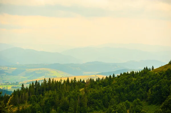 Summer in the mountains. Carpathian, Ukraine, Europe. — Stock Photo, Image