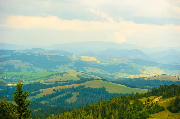 Dağlarda yaz. Karpat, Ukrayna, Europe. — Stok fotoğraf