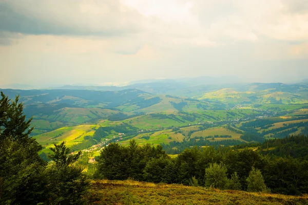 Zomer in de bergen. Karpaten, Oekraïne, Europa. — Stockfoto