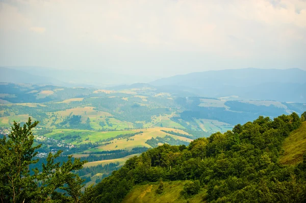 L'été dans les montagnes. Carpates, Ukraine, Europe . — Photo