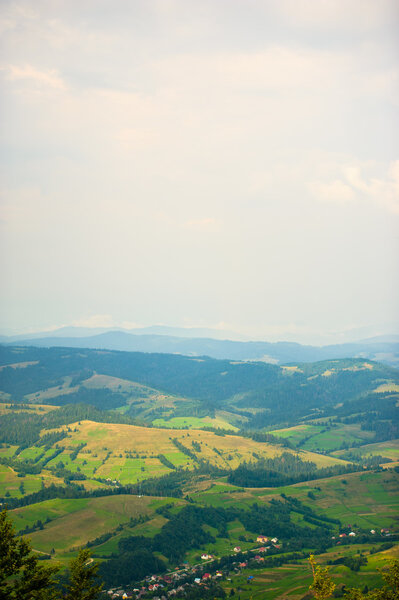 Summer in the mountains. Carpathian, Ukraine, Europe.
