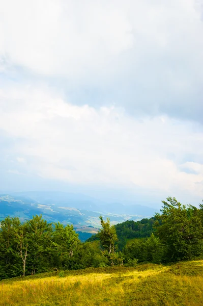 Sommer in den Bergen. Karpaten, Ukraine, Europa. — Stockfoto