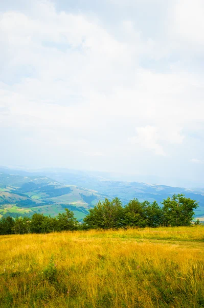 Sommaren i bergen. Karpaterna, Ukraina, Europa. — Stockfoto