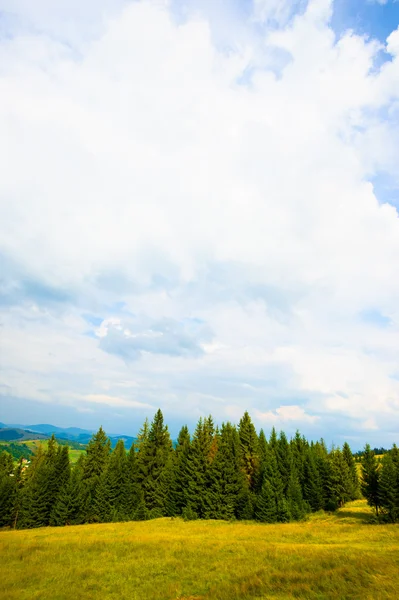 Zomer in de bergen — Stockfoto