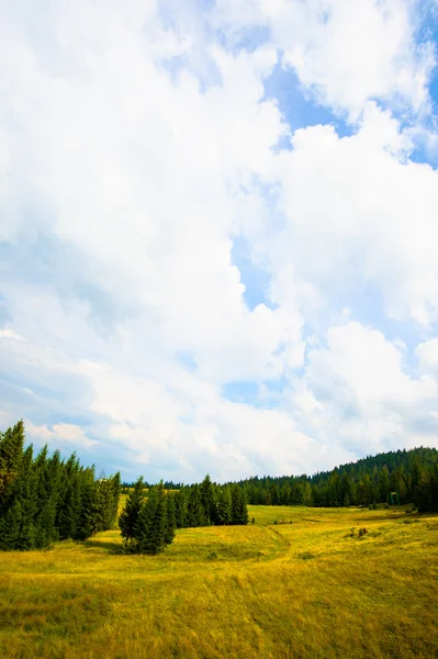 Sommar i fjällen — Stockfoto