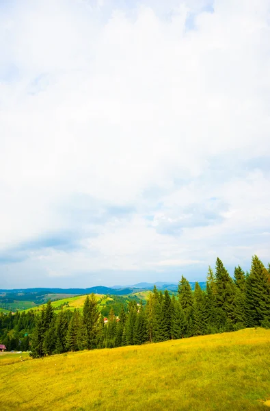 Été dans les montagnes — Photo