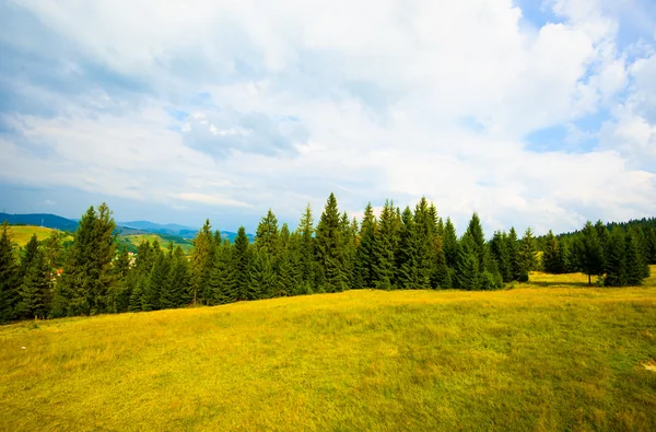 Zomer in de bergen — Stockfoto