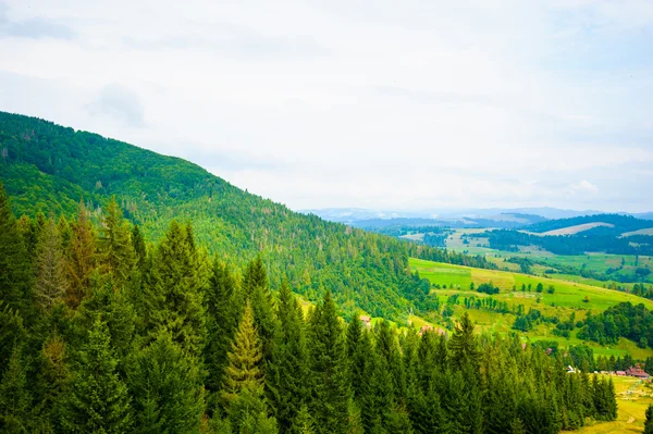 Zomer in de bergen. Karpaten, Oekraïne, Europa. — Stockfoto