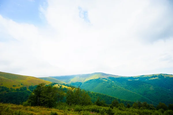 Verano en las montañas. Cárpatos, Ucrania, Europa . — Foto de Stock