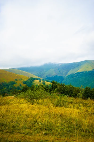 Verano en las montañas. Cárpatos, Ucrania, Europa . — Foto de Stock