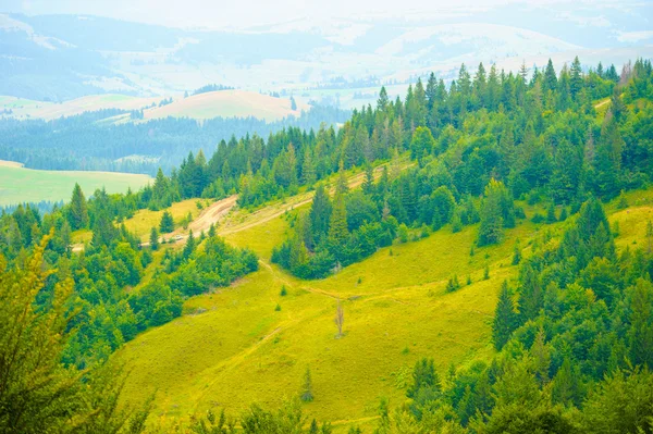 Verano en las montañas. Cárpatos, Ucrania, Europa . —  Fotos de Stock