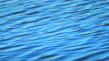 Mavi yüzeydeki soyut sakin su dalgaları, temiz minimum arkaplan 4K yavaş çekimde çekildi.