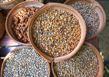 Çeşitli yeşil kahve çekirdekleri