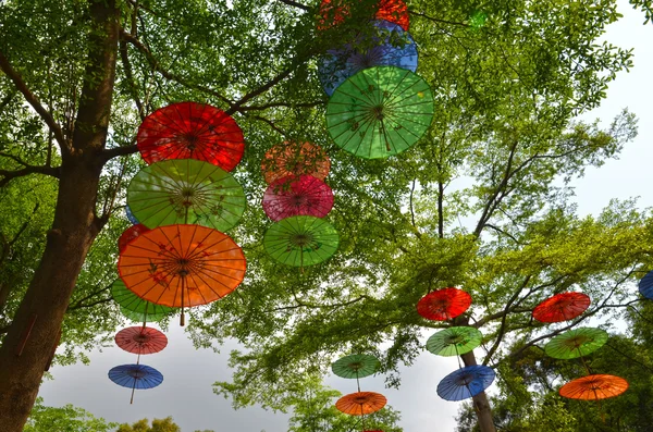 Färgglada paraplyer hängande på träd — Stockfoto