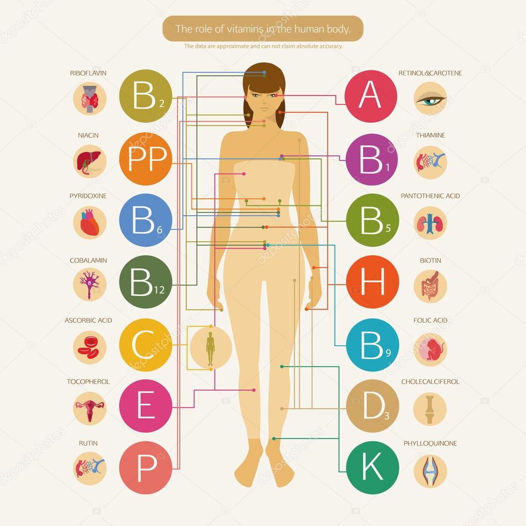 the sources and uses of minerals in the human body the sources and uses of minerals in the human body