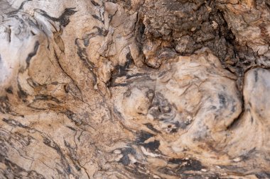 Kahverengi ahşabın doğal dokusu.