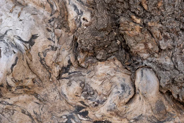 Textura Natural Madeira Marrom Fora — Fotografia de Stock
