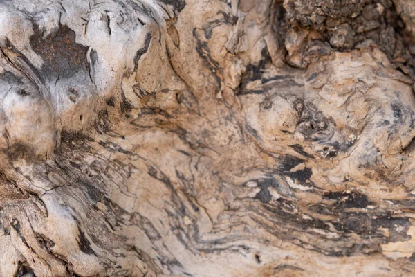 Kahverengi Ahşabın Doğal Dokusu — Stok fotoğraf