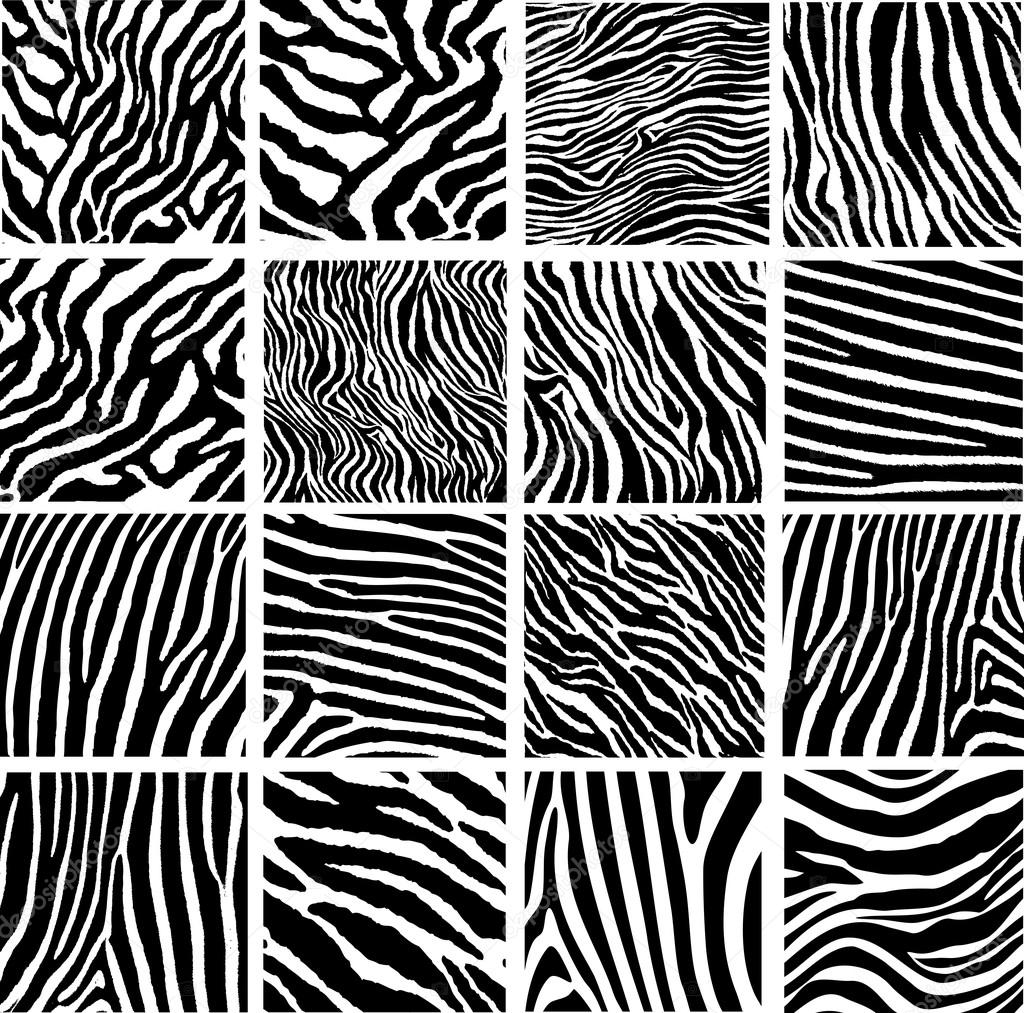 Black and white zebra skin texture