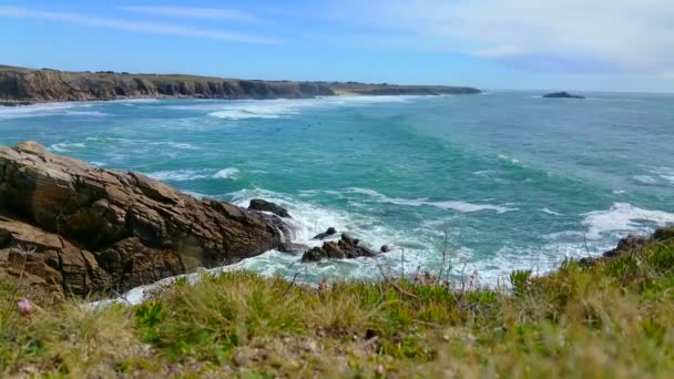 Cote sauvage Bretagne França — Vídeo de Stock